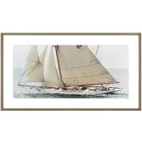 Newport Moonbeam