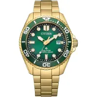 Citizen Eco-Drive Pro Marine BN0262-59W