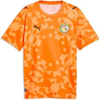 Puma Senegal Målvaktströja VM 2026 - , storlek X-Large