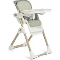 Joie Mimzy Recline Strata Barnstol