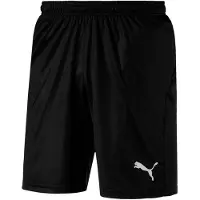 Puma hort Puma LIGA Core hort 70343603