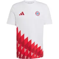 Adidas Fc Bayern Munich Anthem Graphic T-shirt Med Korta ärmar