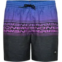 O'Neill Logo Stripe 16'' Boardshorts blue heritage oneill s Storlek XL