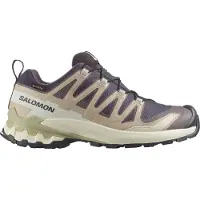 Salomon Women's Xa Pro 3d V9 GTX skor för terränglöpning