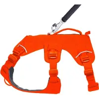 Ruffwear Web Master Hundsele
