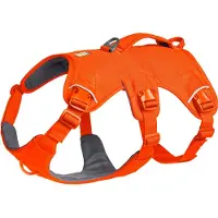 Ruffwear Web Master Hundsele