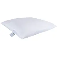 Zen Sleep Fiberkudde - Allergivänlig kudde storlek 50x70cm - Medelhög kudde från -
