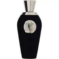 Van Canto Kashimire Extrait de Parfym 100ml