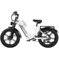 Electric Ride Nathaniel SYR08 Terräng-Elcykel 48V20Ah Batteri 20 Tum Feta Däck 2*1000W Dubbelmotor Terrängcykel för Vuxen vit