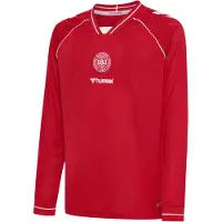 Hummel Danmark Hemmatröja 2026/27 Barn Långärmad - , storlek 164 cm