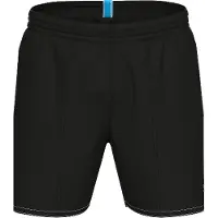 Arena Bywayx R Simshorts