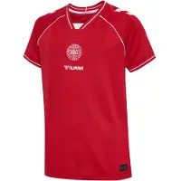 Hummel Danmark Hemmatröja 2026/27 Barn - , storlek 152 cm