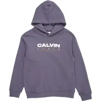 Calvin Klein Logo Hoodie