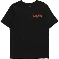 Calvin Klein Logo T-Shirt
