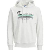 Jack & Jones Sweatshirt 'JORCodyy' ljusblå / grön / svart / vitmelerad