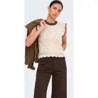 JDY Broderad topp 'JDYVIOLET' beige / choklad