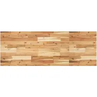 vidaXL Bordsskiva behandlad 160x50x2 cm massivt akaciaträ