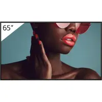 Sony FW-65BZ40L, Platt skärm för digital skyltning, 165,1 cm (65), LCD, 3840 x 2160 pixlar, Wi-Fi, 24/7