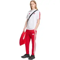 Adidas Fc Bayern Munich Dna T-shirt Med Korta ärmar