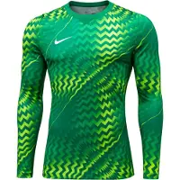 Nike Målvaktströja Dri-FIT Gardien V L/S - Grön/Vit, storlek Medium