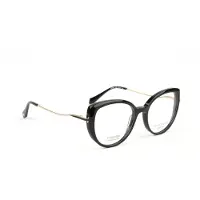 Ana Hickmann Optical Frame HI6334T A01 51 Titanium