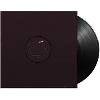 Suburban S U R V I V E: RR7387 Remix Record