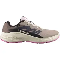 Salomon Alphaglide Gore-tex Trailskor