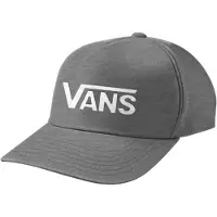 Vans Drop V Logo Snapback-keps