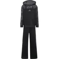 Adidas Träningsdräkt antracit / mörkgrå / svart