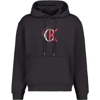 Calvin Klein Jeans Eu 350 Terry Graphic Huvtröja