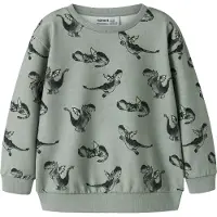 Name it Sweatshirt 'NMMKASSE' khaki / gran / pastellgrön / svart