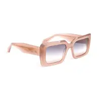 Ana Hickmann Sunglasses AH9397 T02 53