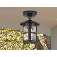 ELSTEAD Utomhustaklampa Hereford, Svart, Aluminium / grå / zink, Modern, Taklampa