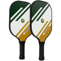 Lynx Sport Fiberglass Pickleball-paddel 2 Enheter
