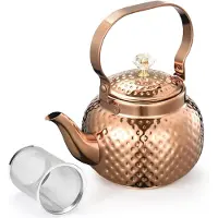 Typecat Tekanna i rostfritt stål med infusionsrör 1,2 l, vattenkokare med avtagbart filter
