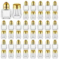 Typecat Salt & Peppar Shakers Clear Seasonings Shakers Tiny Spice Shakers Transparent Seasoning Shakers Guld