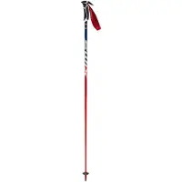 Swix World Cup Pro Sl Carbon Stavar
