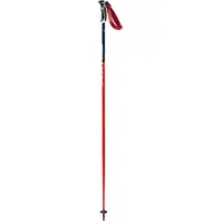 Swix Wc Pro Slalom Stavar