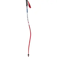 Swix World Cup Pro Dh Carbon Stavar