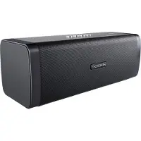 DOCKIN D Fine Evo Bluetooth-högtalare