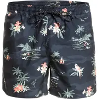 Quiksilver Scenic 15 Simshorts