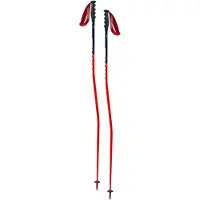 Swix World Cup Pro Super-g Stavar