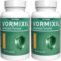 Fyron Group B.V. Vormixil - 120 kapslar (2-pack) - Schweizisk formel - 22 vitaminer & mineraler - Växtbaserat komplex