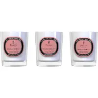 Parks Candles VA SPECIAL EDITIONS 50G 1 WK X 3 TUBEROS & MUSKOTNÖT