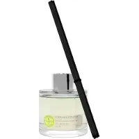 Parks Candles Vit hyacint och lilja 100ml Diffusor 100ml