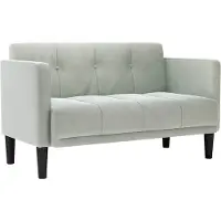 vidaXL Loveseat soffa ljusgrå 111 cm sammet
