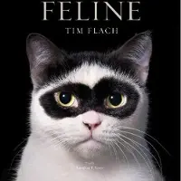 Feline