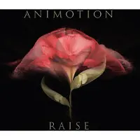 Ginza.se Animotion: Raise Your Expectations