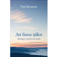 Att finna själen : Meningen med livet på jorden