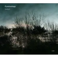 Import Cyminology: Saburi
